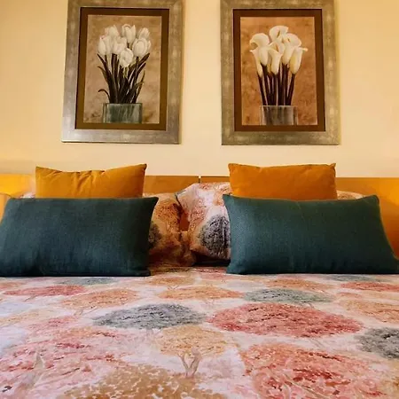 Park Vip Apartment